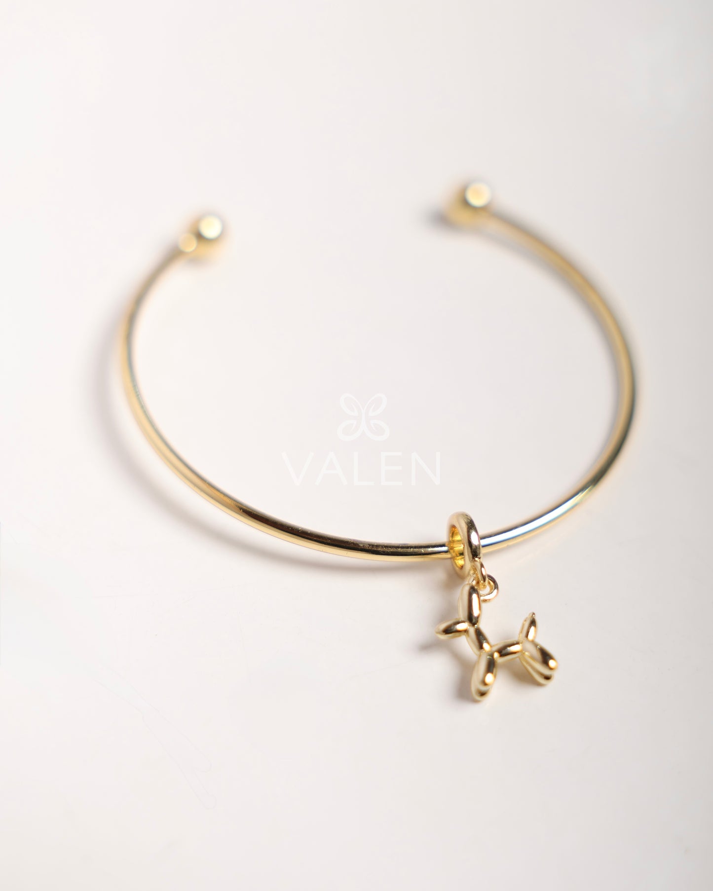Pulsera + charm