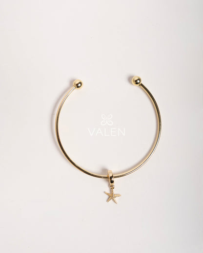 Pulsera + charm