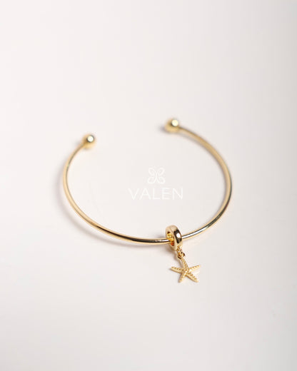 Pulsera + charm
