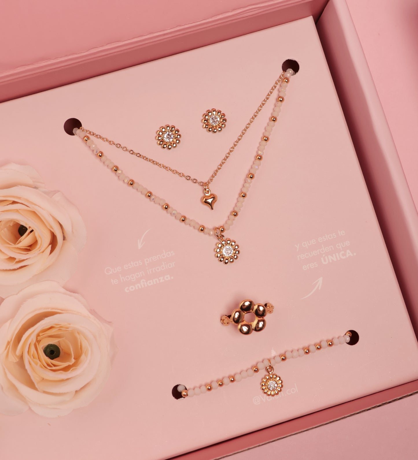 Set accesorios completo