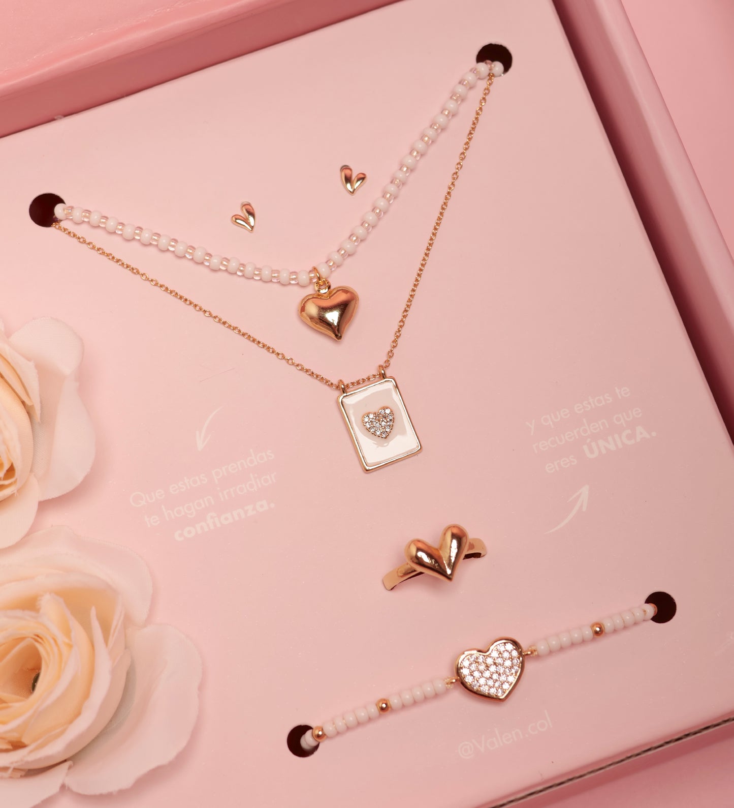 Set accesorios completo