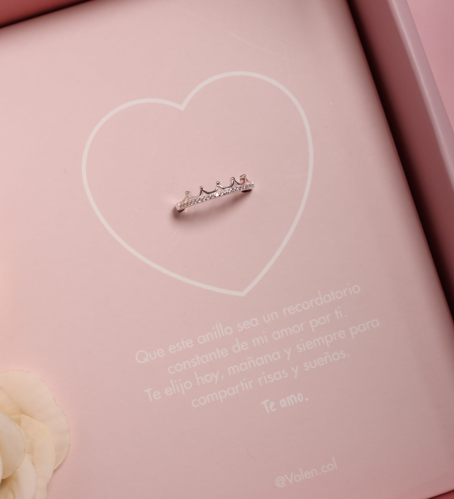 Anillo amor - plata ley 925